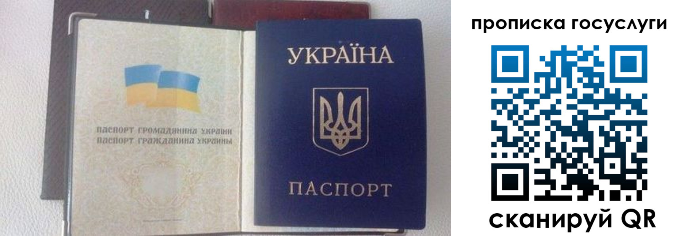 временная регистрация недорого в Боброве